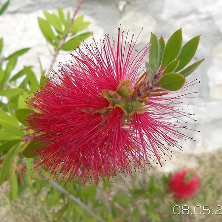 فيلة Villabera Fethiye