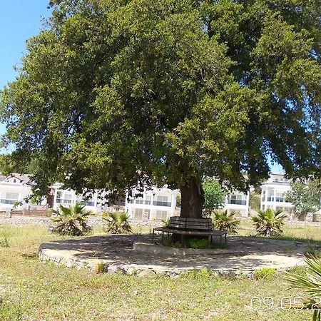فيلة Villabera Fethiye